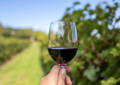 Wine enthusiast